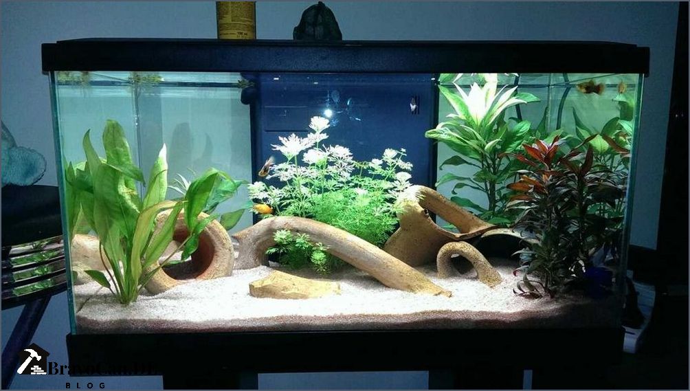 Idee Deco Aquarium 60l