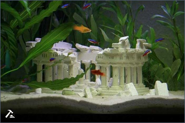 60l Aquarium Deko Ideen Kreative Gestaltungsideen für Ihr Aquarium