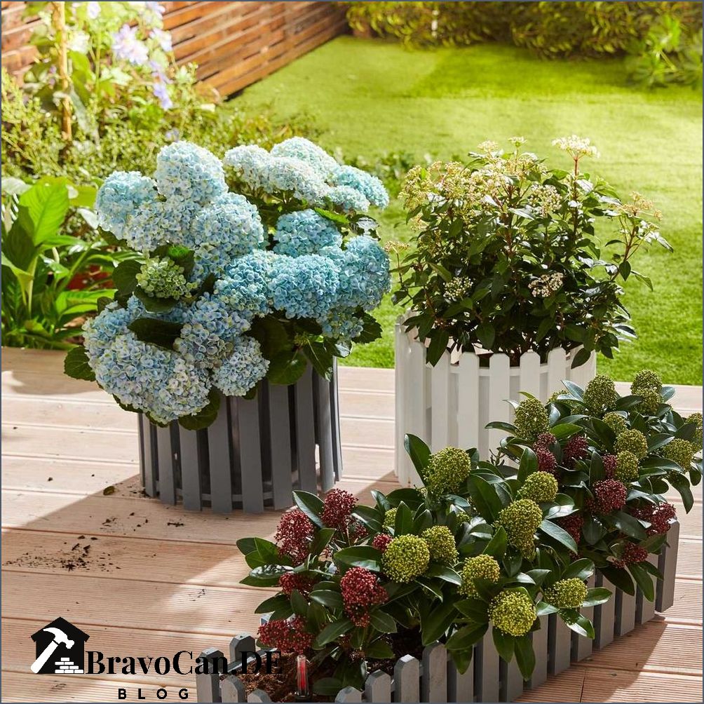 Aldi Blumenkasten Mit Wasserspeicher