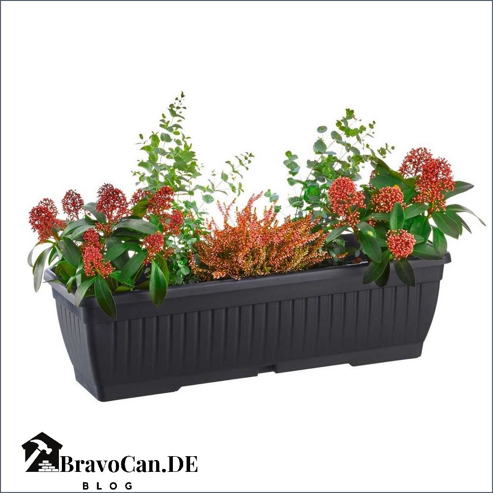Aldi Blumenkasten mit Wasserspeicher Die praktische Lösung für eine