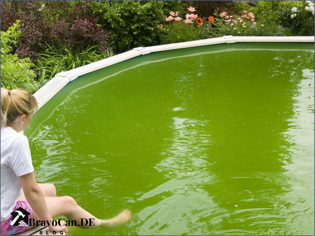Algen am Poolboden - Tipps zur Reinigung und Vorbeugung Algen am Poolboden - Tipps zur Reinigung und Vorbeugung