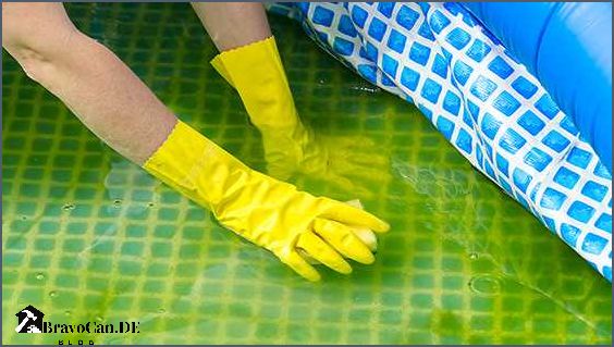 Algen entfernen Hausmittel und Tipps für eine effektive Reinigung Algen entfernen Hausmittel und Tipps für eine effektive Reinigung