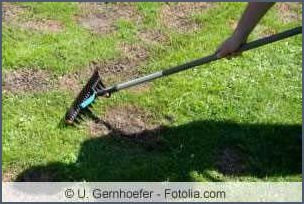 Alten Rasen entfernen und neu anlegen - Tipps und Anleitung Alten Rasen entfernen und neu anlegen - Tipps und Anleitung