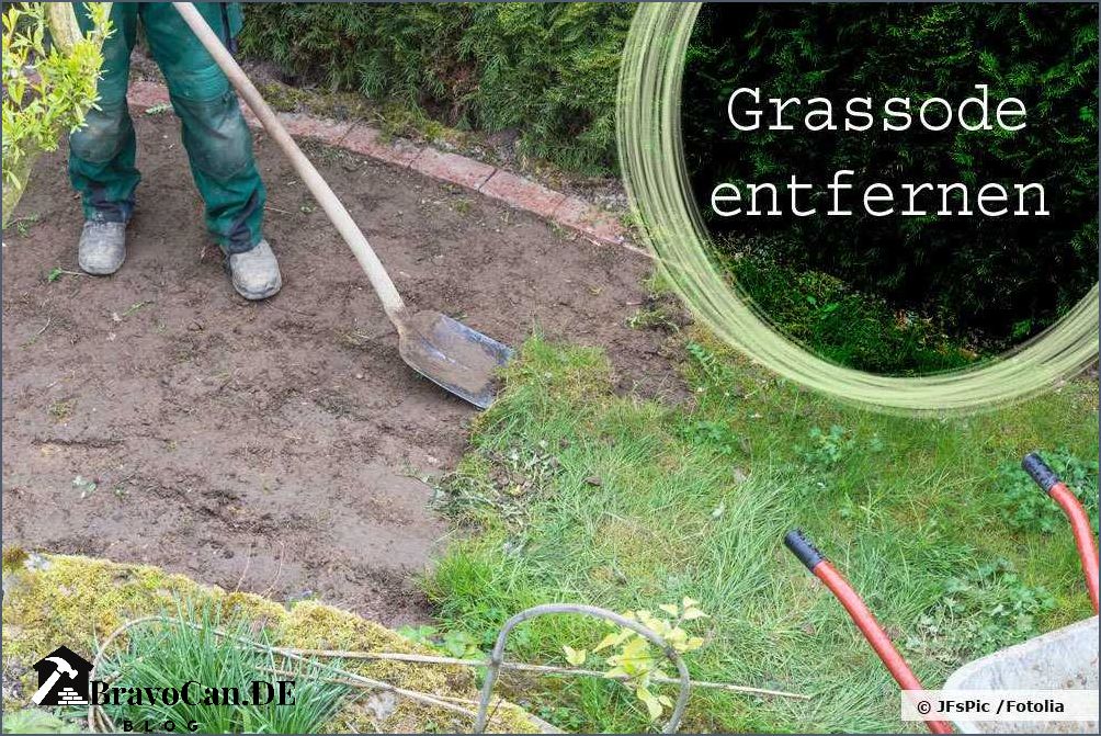 Alten Rasen entfernen und neu anlegen - Tipps und Anleitung Alten Rasen entfernen und neu anlegen - Tipps und Anleitung