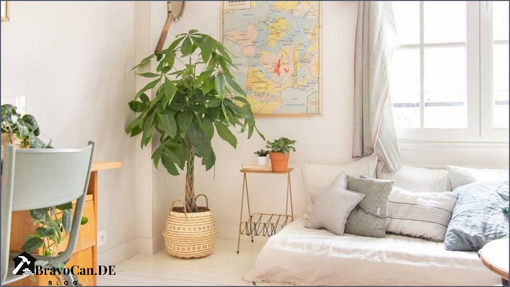 Baum im Haus Tipps für die Auswahl und Pflege von Zimmerpflanzen Baum im Haus Tipps für die Auswahl und Pflege von Zimmerpflanzen