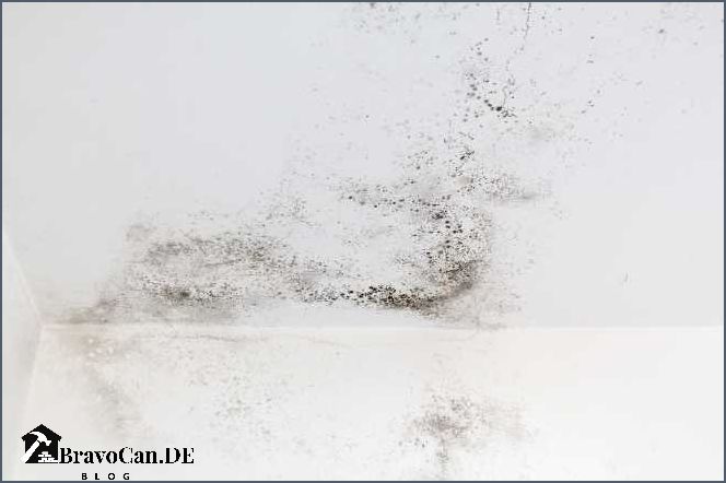 Graue Flecken An Der Wand
