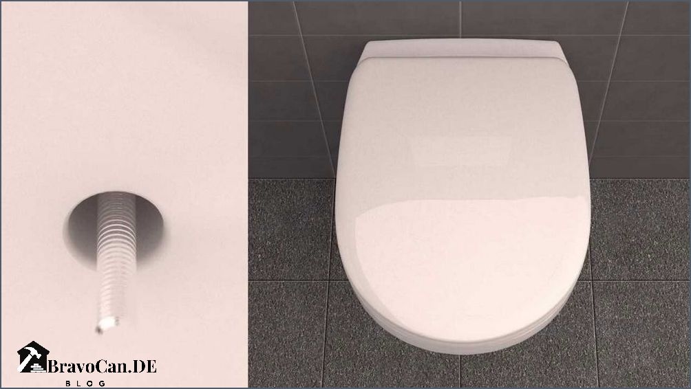 Wc Sitz Steckbefestigung Von Oben Losen