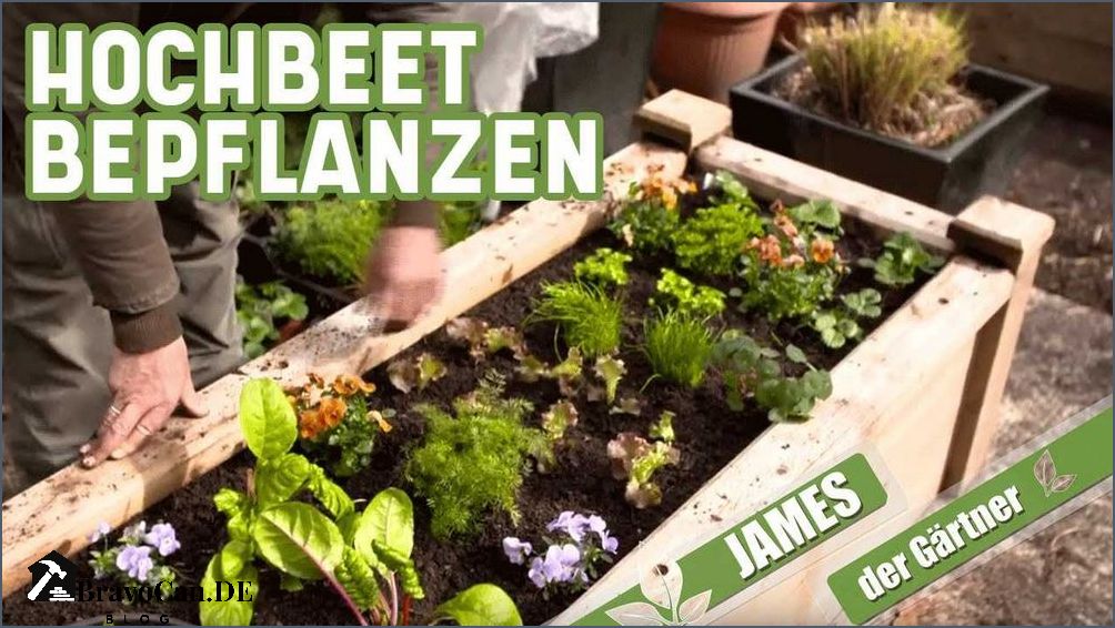 Anzuchtbeet mit Deckel Tipps für erfolgreiches Gärtnern Bravocan.DE