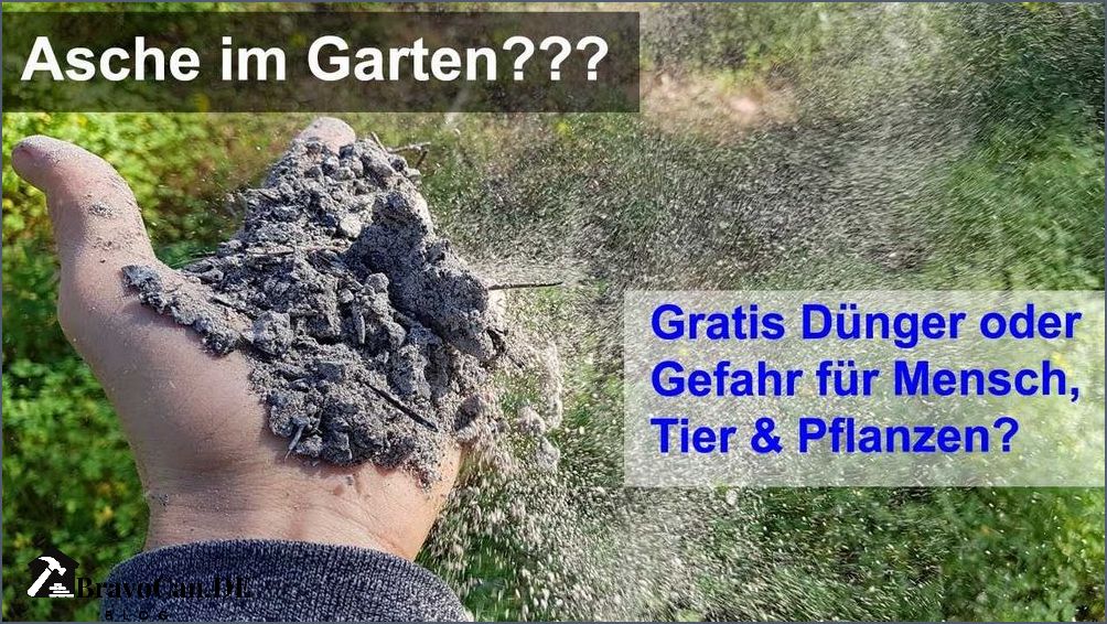Asche als Dünger Eine umweltfreundliche Methode zur Bodenverbesserung