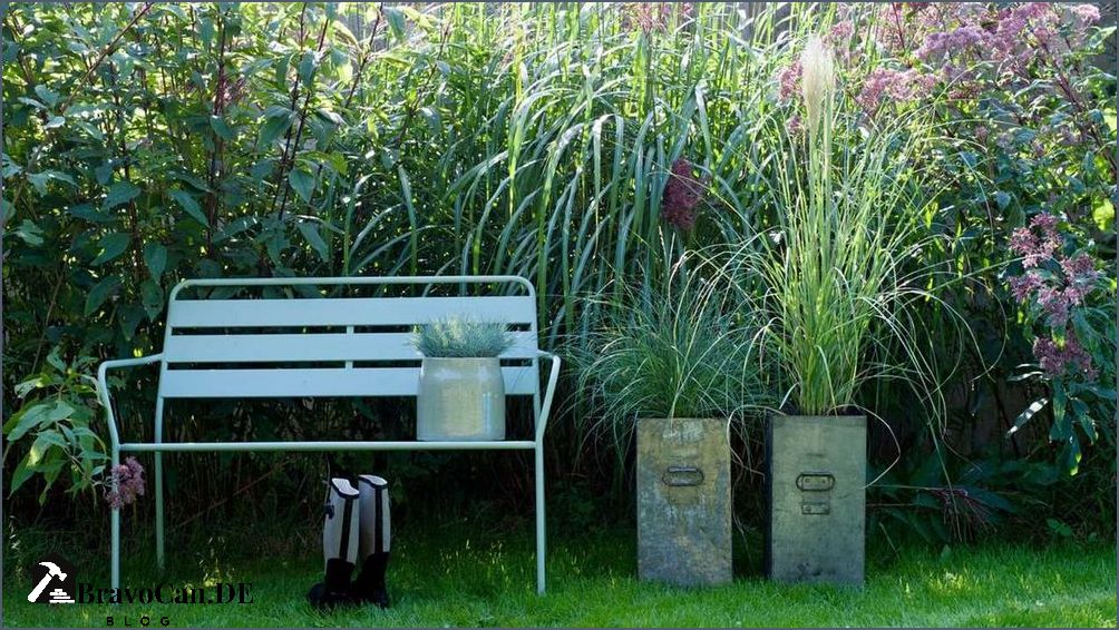 Bambus als Sichtschutz Die besten Lösungen für Privatsphäre im Garten