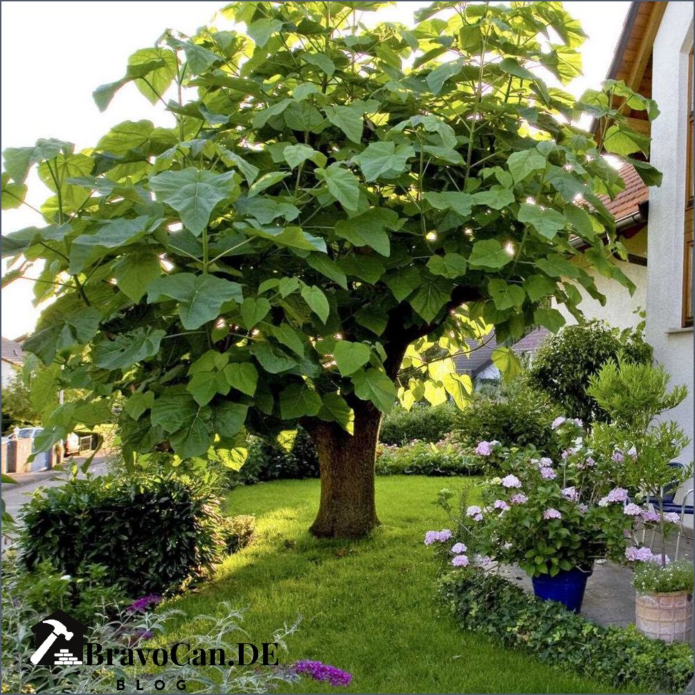 Baum mit Blüten - Die schönsten blühenden Bäume für Ihren Garten Baum mit Blüten - Die schönsten blühenden Bäume für Ihren Garten