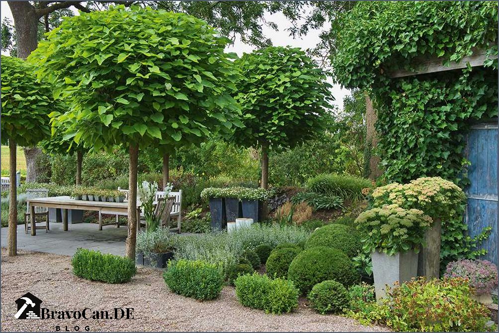 Baum mit flacher Krone Die perfekte Wahl für Ihren Garten