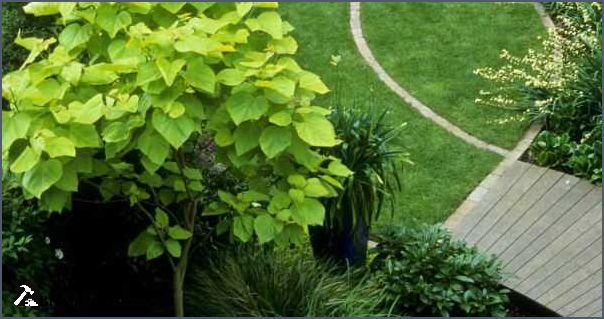 Baum mit roten Blüten Arten Pflege und Tipps für den Garten Baum mit roten Blüten Arten Pflege und Tipps für den Garten