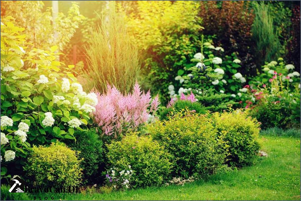 Baum mit roten Blüten Arten Pflege und Tipps für den Garten Baum mit roten Blüten Arten Pflege und Tipps für den Garten