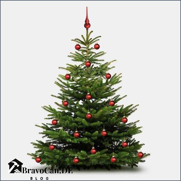 Beispiele zum Schmücken des Christbaums Beispiele zum Schmücken des Christbaums