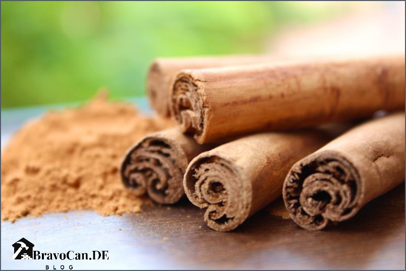Bewurzelungspulver selber machen Tipps und Anleitung Bewurzelungspulver selber machen Tipps und Anleitung