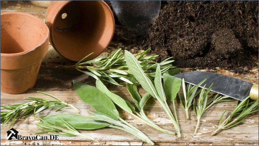 Bewurzelungspulver Selber Machen