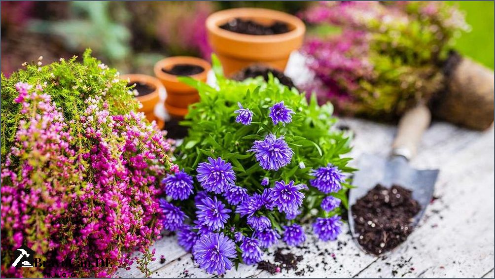 Blau blühende Pflanzen Eine bunte Auswahl für den Garten