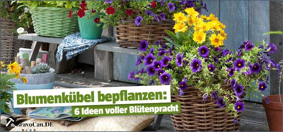 Blaue Blumen im Garten Tipps und Ideen für eine farbenfrohe Gestaltung