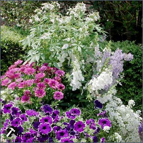 Blaue Blumen im Garten Tipps und Ideen für eine farbenfrohe Gestaltung