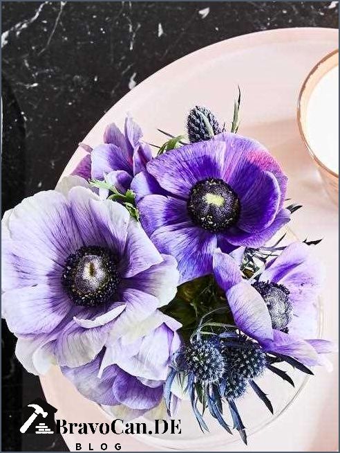 Blaue lila Blumen Eine schöne Auswahl von blauen und lila Blumen für Ihren Garten