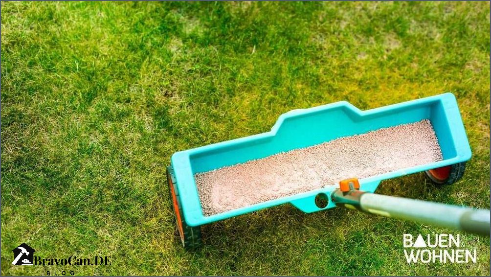 Blaukorn für Rasen Tipps und Anwendungshinweise