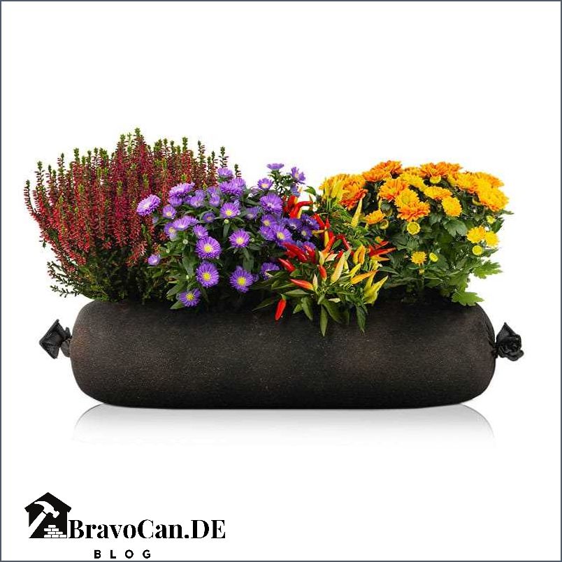 Blumen die jetzt blühen - Eine Übersicht der aktuellen Blütenpracht Blumen die jetzt blühen - Eine Übersicht der aktuellen Blütenpracht