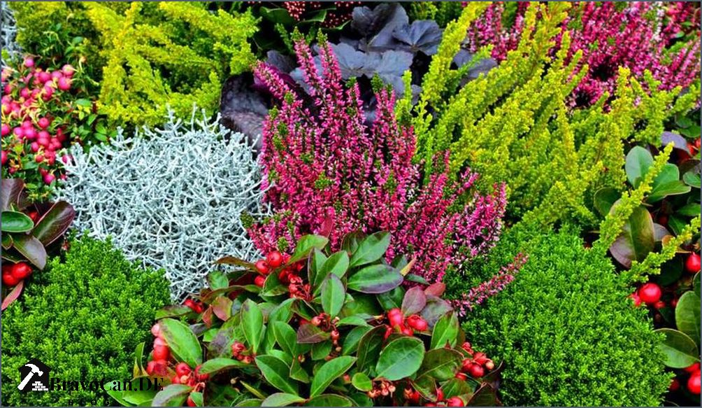 Blumen für den Friedhof Tipps und Ideen für eine würdevolle Grabgestaltung Blumen für den Friedhof Tipps und Ideen für eine würdevolle Grabgestaltung