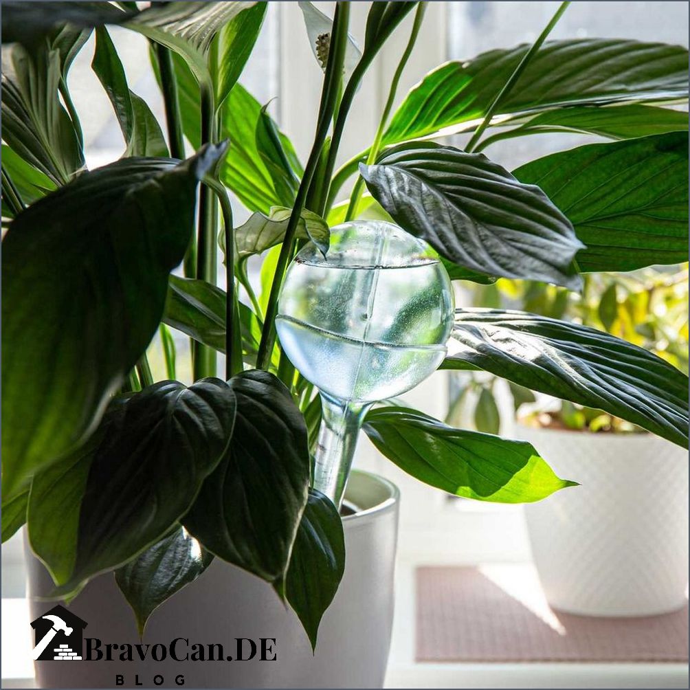 Blumen gießen im Urlaub Tipps für die richtige Bewässerung Blumen gießen im Urlaub Tipps für die richtige Bewässerung