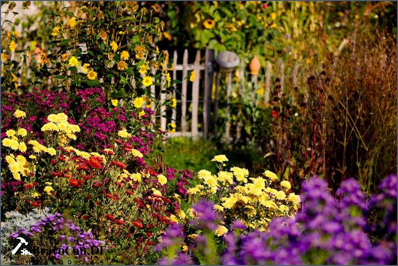 Blumen im November Tipps für eine bunte Herbstgarten