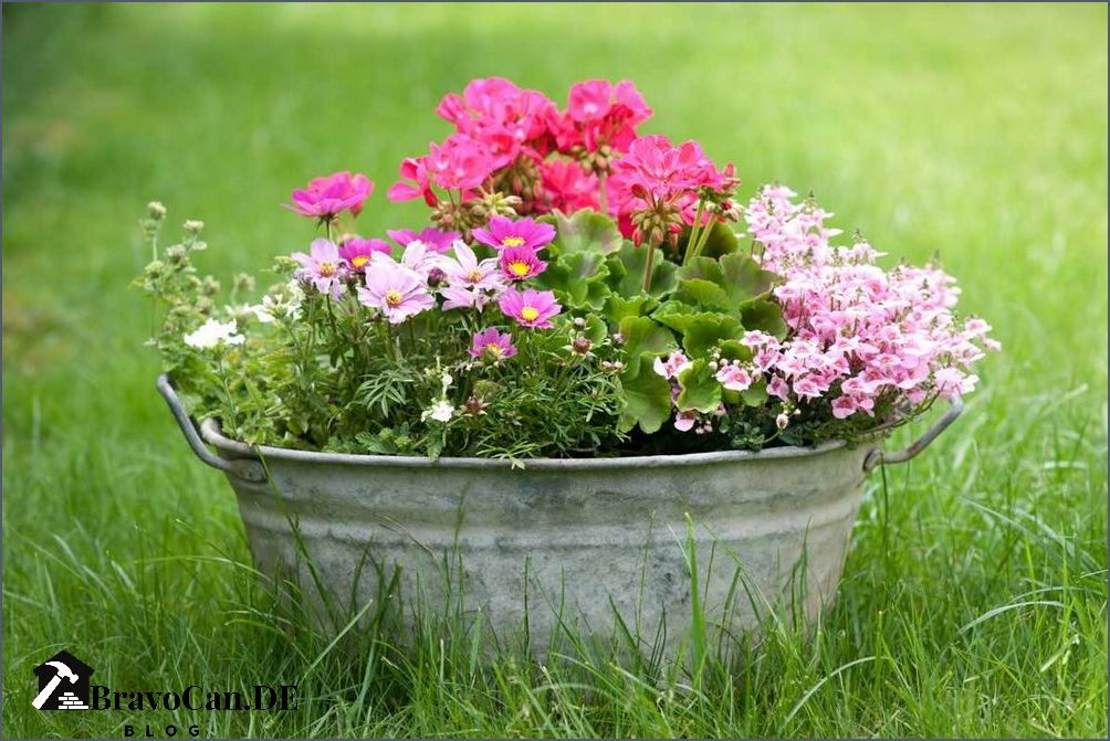 Blumen im September Tipps zur Gartenpflege und Pflanzenauswahl