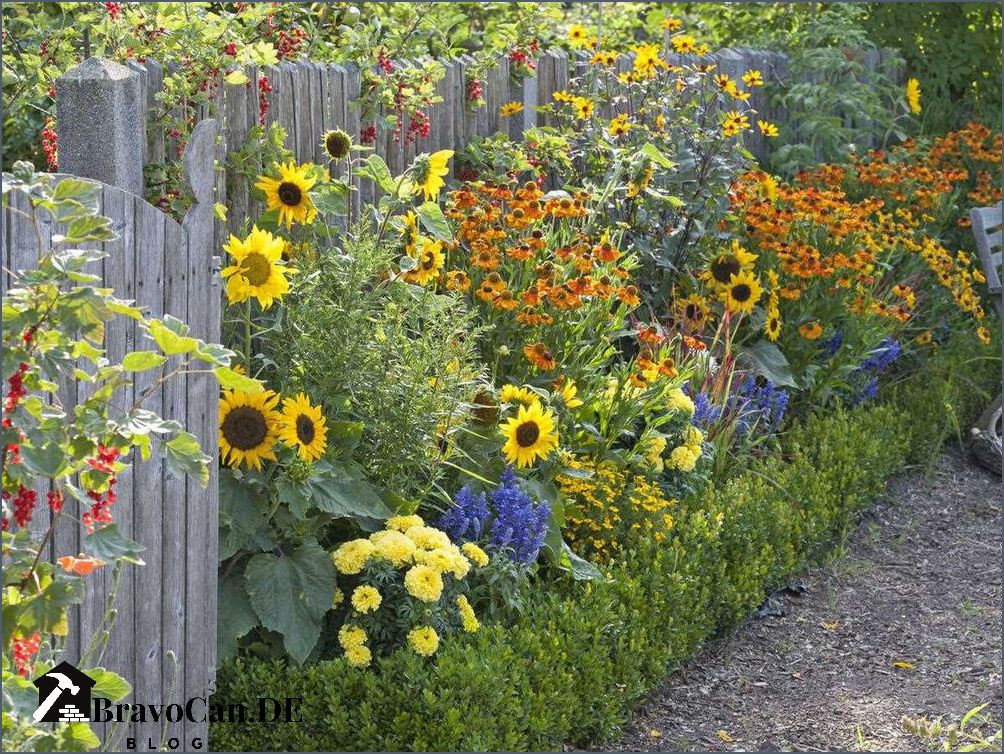 Blumen im September Tipps zur Gartenpflege und Pflanzenauswahl