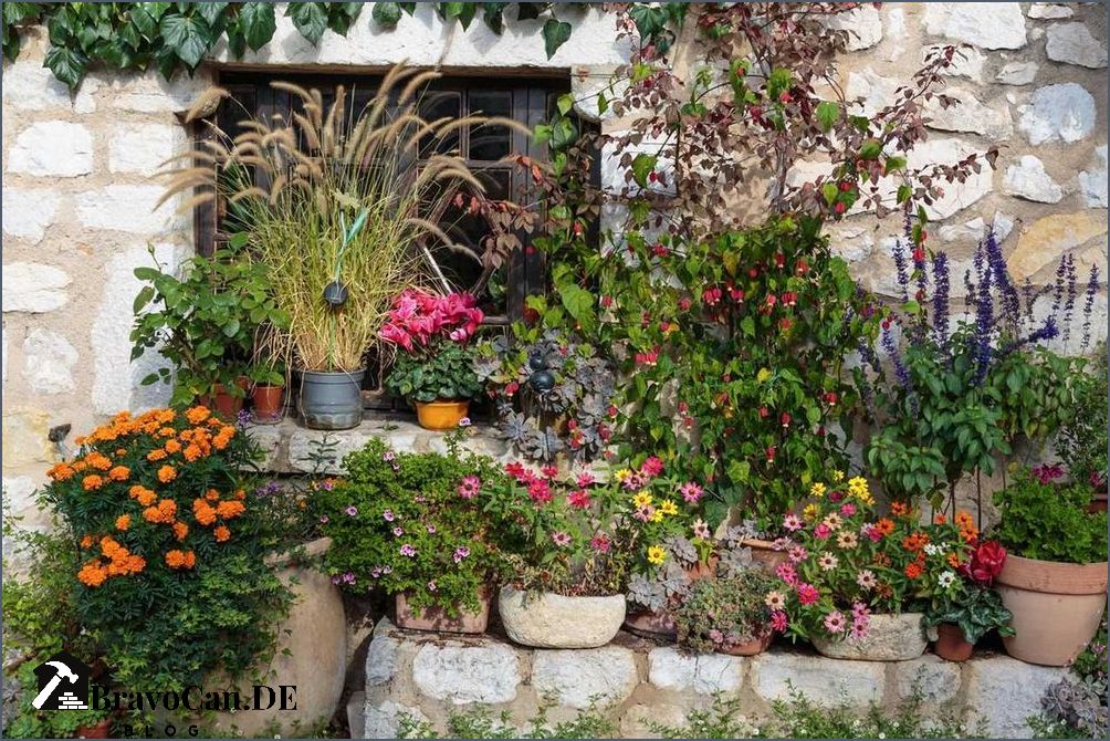 Blumen im September Tipps zur Gartenpflege und Pflanzenauswahl