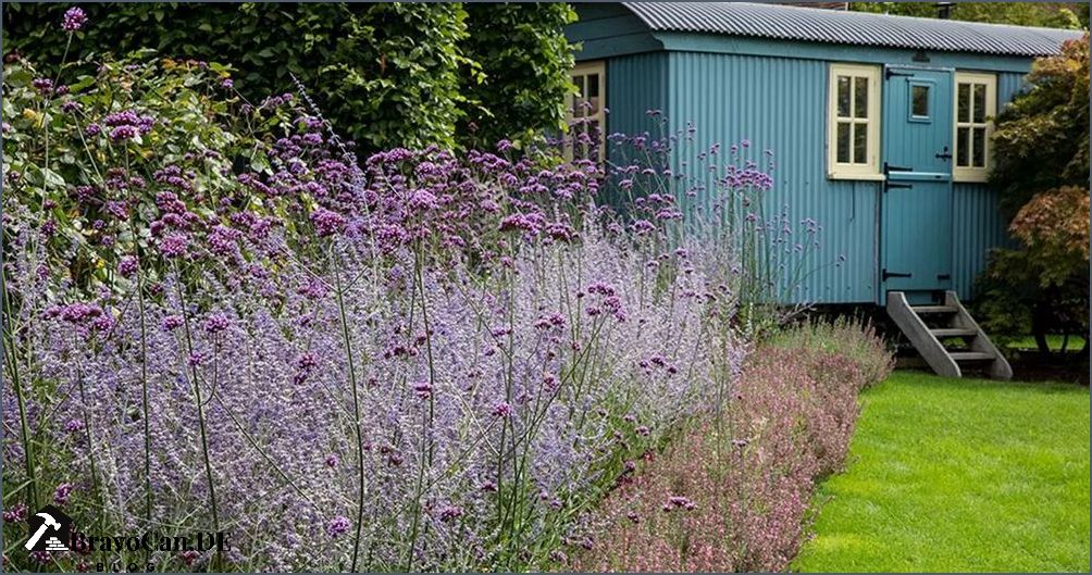 Blumen mit großer Blüte Die schönsten Pflanzen für Ihren Garten Blumen mit großer Blüte Die schönsten Pflanzen für Ihren Garten