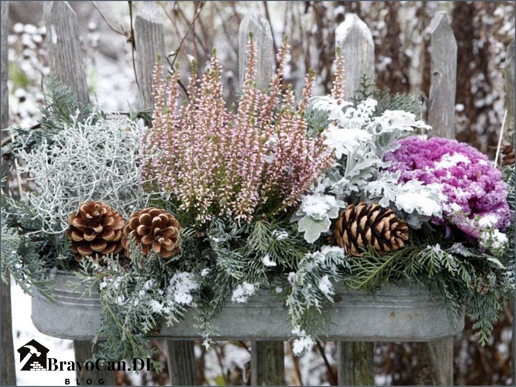 Blumenkästen am Balkon - Tipps für eine Terrasse im Untergeschoss