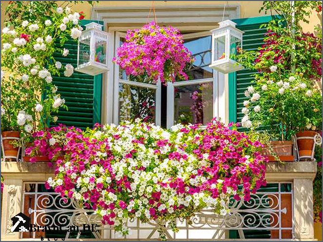 Blumenkästen am Balkon - Tipps für eine Terrasse im Untergeschoss