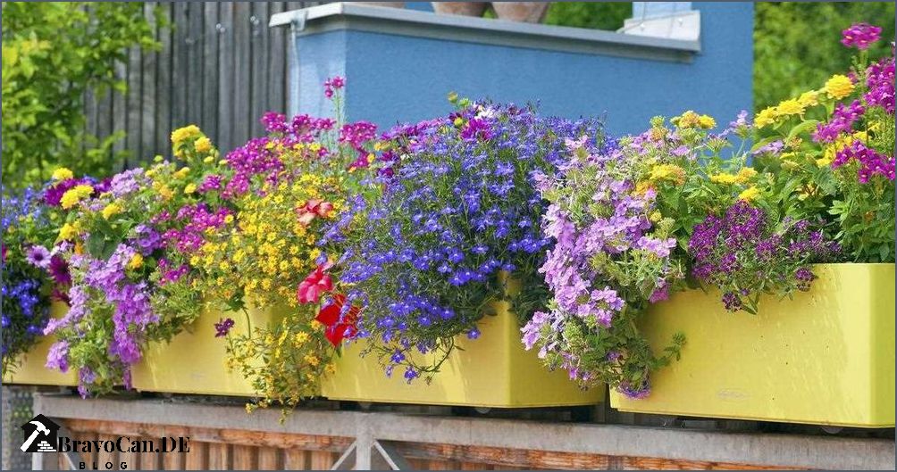 Blumenkästen am Balkon - Tipps für eine Terrasse im Untergeschoss