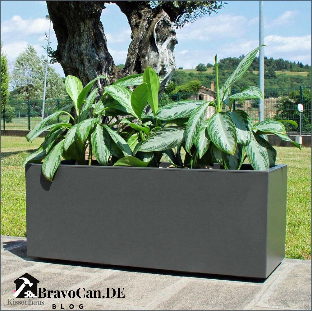 Blumenkasten hoch outdoor Die besten Optionen für Ihren Garten