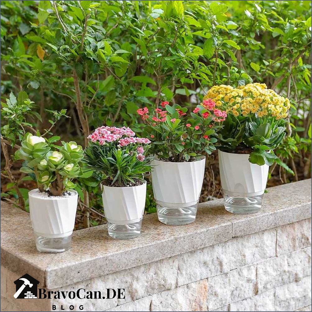Blumentopf mit Wasserspeicher Die perfekte Lösung für eine optimale Bewässerung Blumentopf mit Wasserspeicher Die perfekte Lösung für eine optimale Bewässerung