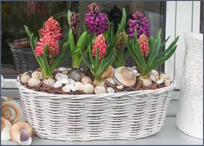 Blumenzwiebeln im Topf pflanzen Tipps und Tricks Blumenzwiebeln im Topf pflanzen Tipps und Tricks