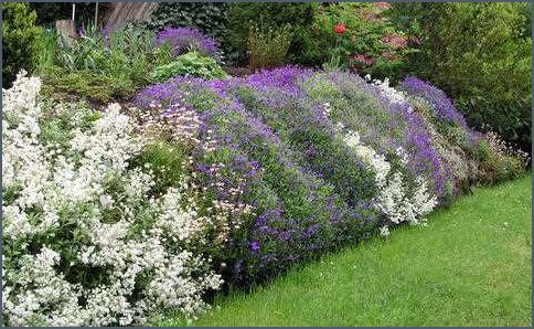 Bodendecker Hang pflegeleicht Tipps für eine einfache Gartenpflege