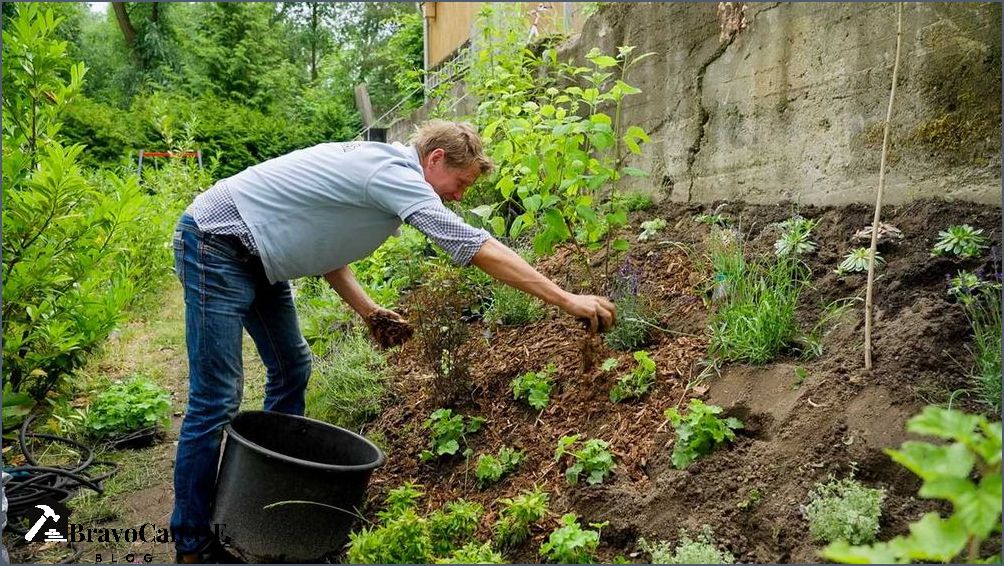 Bodendecker Hang pflegeleicht Tipps für eine einfache Gartenpflege
