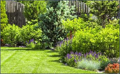Bodendecker statt Rasen Eine umweltfreundliche Alternative für Ihren Garten