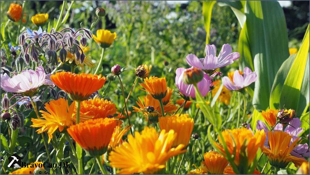 Bodendecker statt Rasen Eine umweltfreundliche Alternative für Ihren Garten