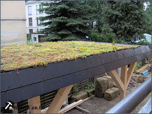 Carport mit Dachbegrünung Vorteile Arten und Tipps Carport mit Dachbegrünung Vorteile Arten und Tipps