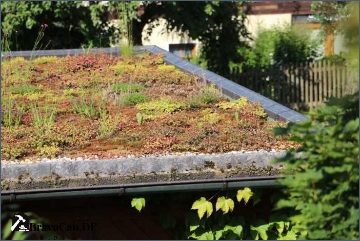 Carport mit Dachbegrünung Vorteile Arten und Tipps Carport mit Dachbegrünung Vorteile Arten und Tipps