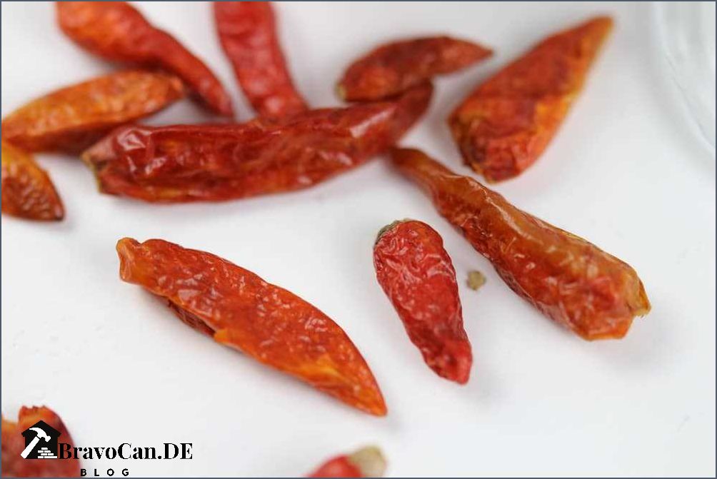 Chilis trocknen in der Wohnung Tipps und Tricks für die richtige Trocknung
