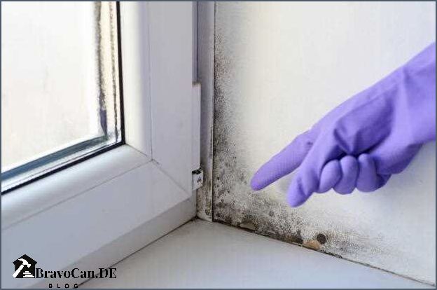 Dachfenster putzen außen Tipps und Tricks für eine strahlende Fensterfront