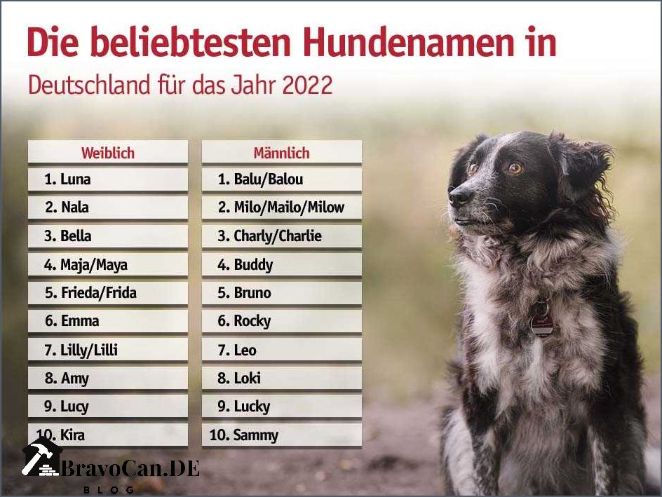 Das beliebteste Tier der Welt Eine Übersicht über den Favoriten der Menschen