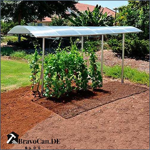 Luxus Tomaten Regenschutz Obi Ebenbild